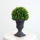 Medium Decorative Topiary Ball Plant in Black Vase