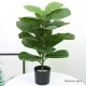 Tall Artificial Plants Decor Rental