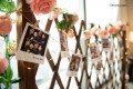 Photos on fence decor