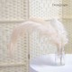 Rustic Elegant Wedding Props Singapore