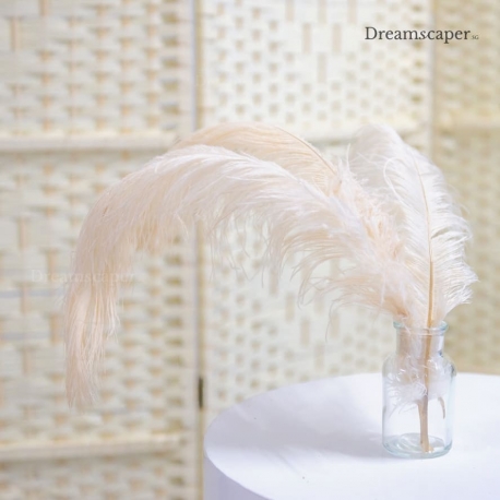 Rustic Elegant Wedding Props Singapore
