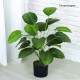 Artificial Potted Plant Rental Singapore