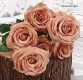 Realistic Artificial Mocha Roses (9 stalks)