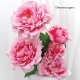 Oriental Props Rental Singapore
