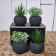 Artificial Plants Rental Singapore