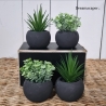 Artificial Plants Rental Singapore