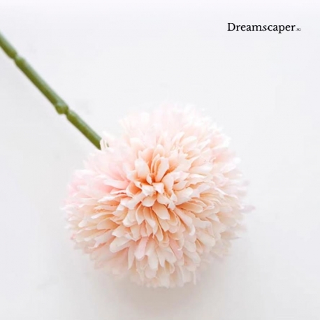 Romantic Proposal Props Rental Singapore