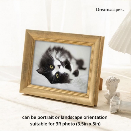 Wedding Decor Rental Singapore