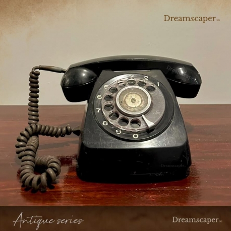 Singapore Heritage Events Props Rental