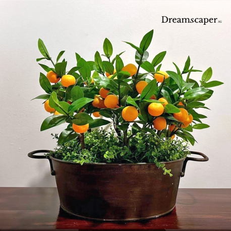 Traditional Chinese New Year Decorations Singapore