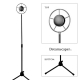 Rent: Vintage Old Shanghai Microphone Stand