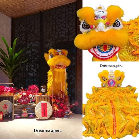 Rent: Chinese New Year Lion Dance (Adult)