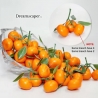 Rent: Small Mandarin Oranges