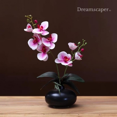 Singapore Orchid Pot for National Day Decor