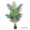 Potted Plant Rental Singapore