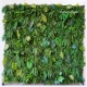 Green Wall Backdrop Singapore