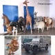 Animal Figurine Life Size