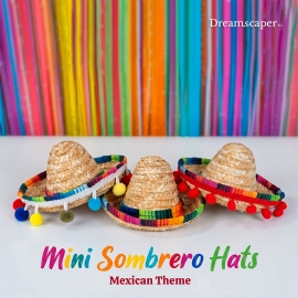 Rent: Mini Sombrero Hat Props (set of 3)