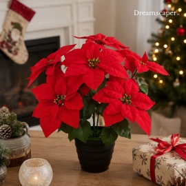 Christmas Poinsettia Pot Singapore