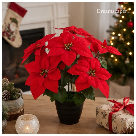 Christmas Poinsettia Pot Singapore