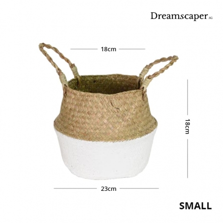  Rattan Plant Basket (Small)