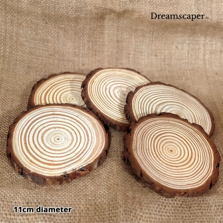 Circle Wood Slices (Set of 5)