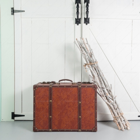 White Wooden Branches